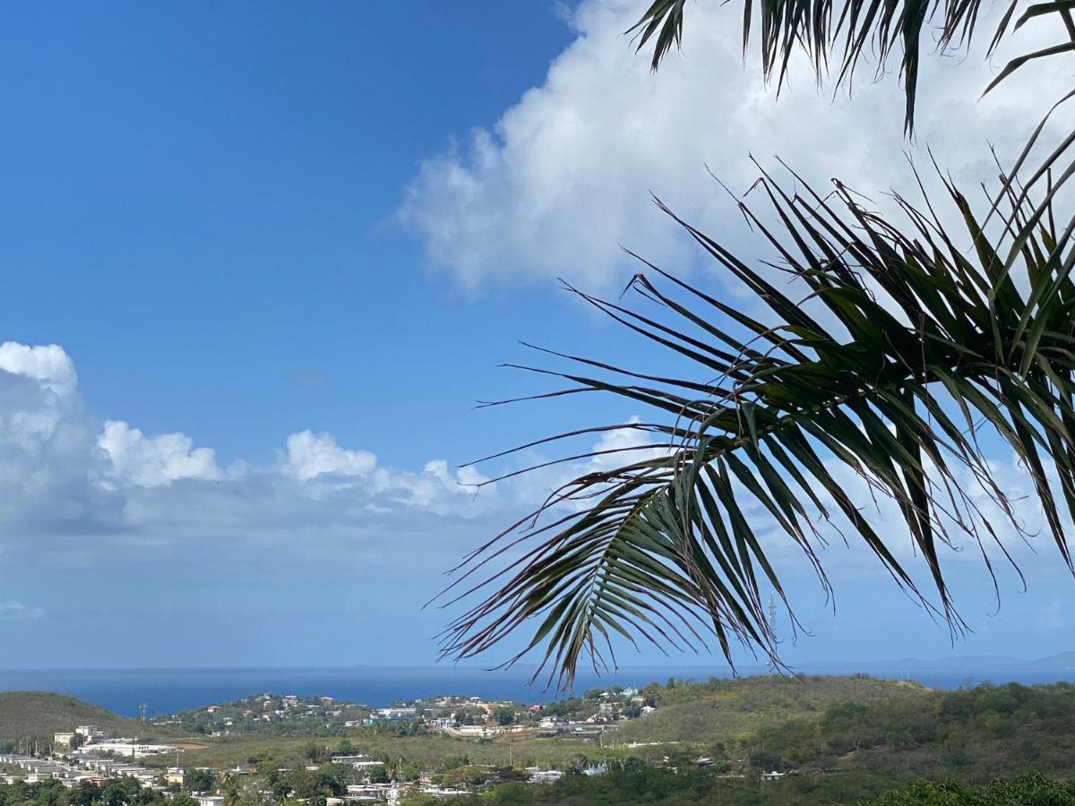 Las Terrazas Los Chivos Vieques Esterno foto