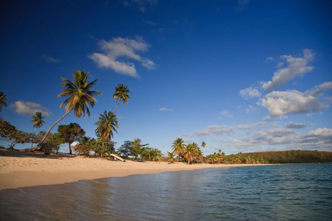 Las Terrazas Los Chivos Vieques Esterno foto